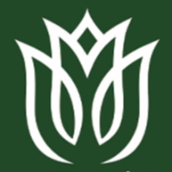link_logo